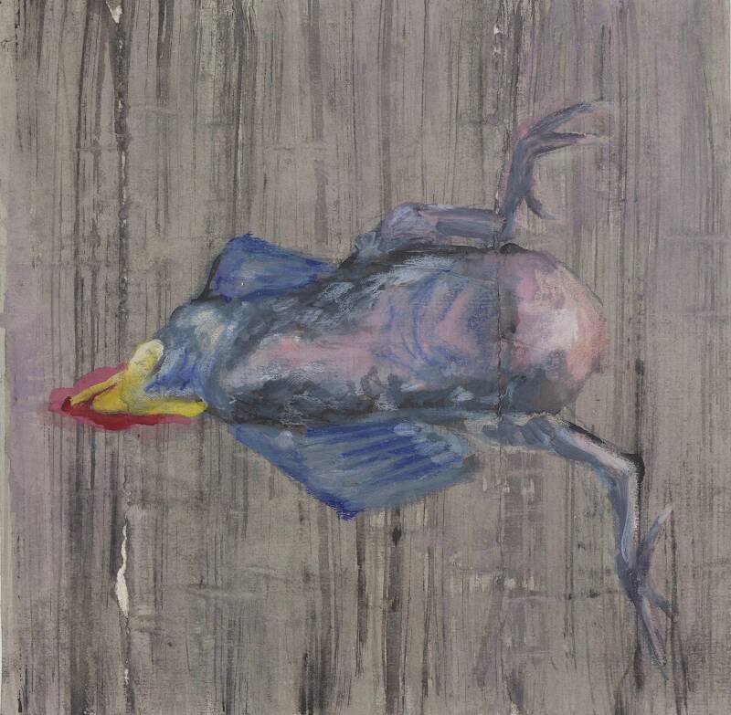Babybird 1