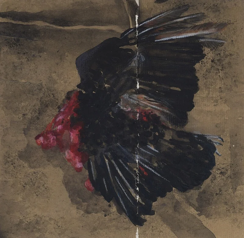 Blackbird