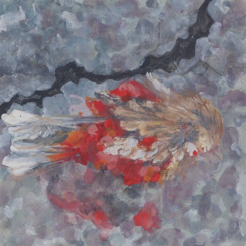 Brown Bird
