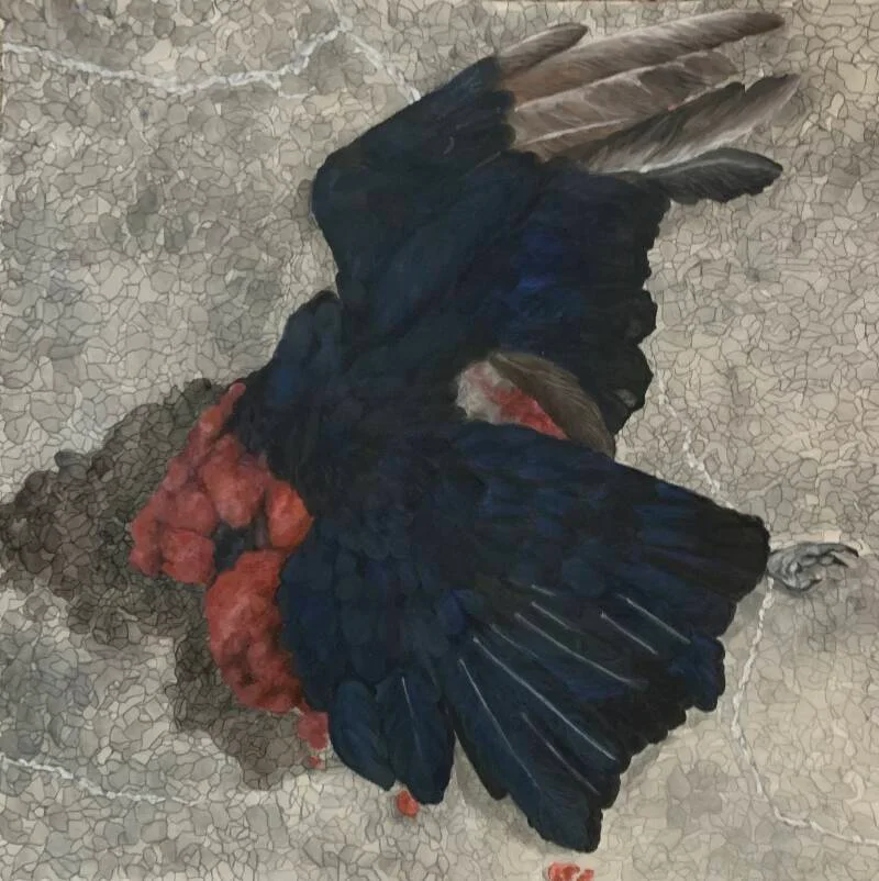 Crow