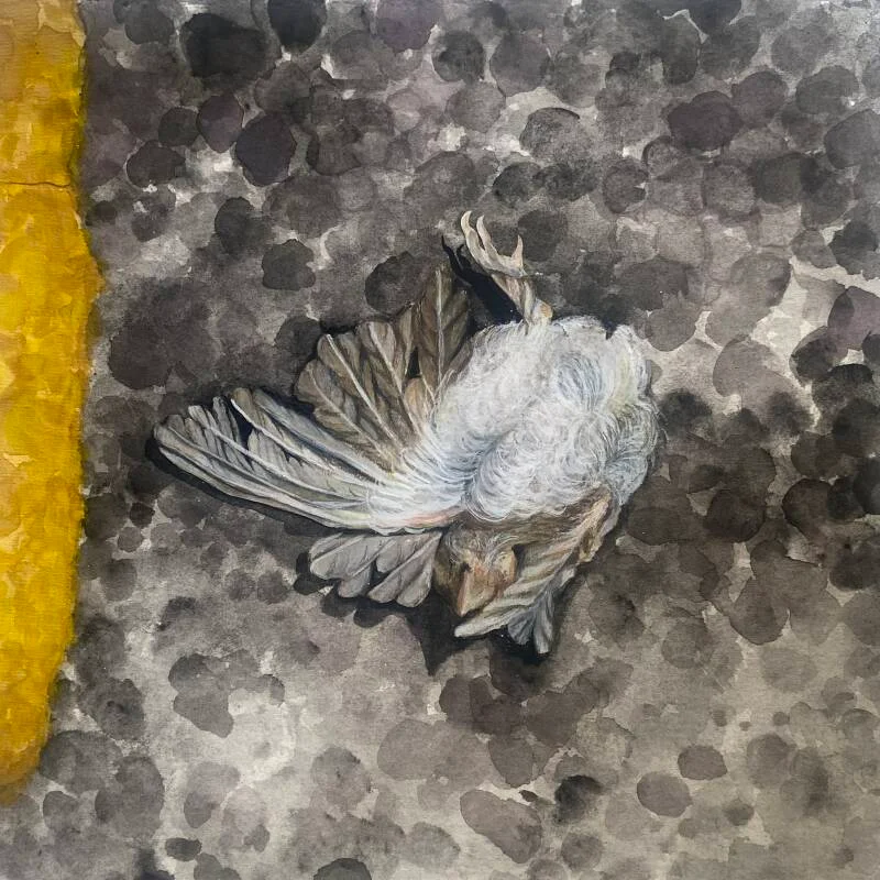Just Hatched