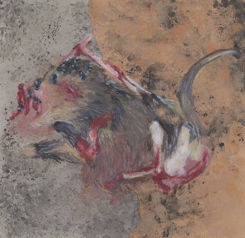 Opossum