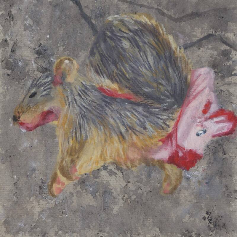 Squirrel
